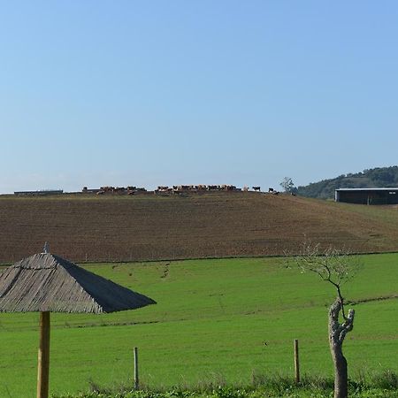 Herdade Dos Montes Bastos Santa Luzia エクステリア 写真