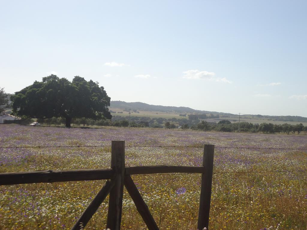 Herdade Dos Montes Bastos Santa Luzia エクステリア 写真